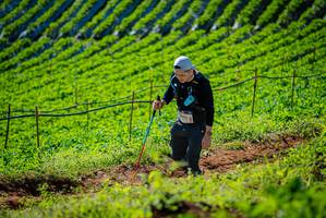 BIB: 2242
                            <button type="button" onclick="openModal(19161444)" class="btn btn-primary btn-sm float-right btn-popup" data-toggle="modal" data-target=".modal-high-quality">
                        <i class="fas fa-shopping-cart"></i> Add to Cart
                    </button>
                                            <button type="button" onclick="isThisMe(19161444, true)" class="btn btn-success btn-sm float-right btn-popup btn-isme hidden" data-toggle="tooltip" data-placement="bottom" title="นี่คือรูปของคุณใช่ไหม คลิกที่นี่เพื่อเอาเข้าอัลบั้ม">
                        <i class="fas fa-plus"></i> Add to album
                    </button>
                    <button type="button" onclick="isThisMe(19161444, false)" class="btn btn-warning btn-sm float-right btn-popup btn-isnotme hidden">
                        <i class="fas fa-ban"></i> Remove from album
                    </button>